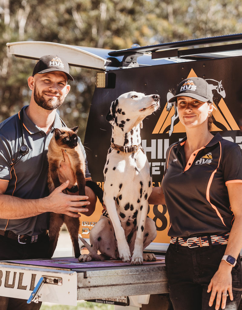 Hillside Vets treat your pets like their own