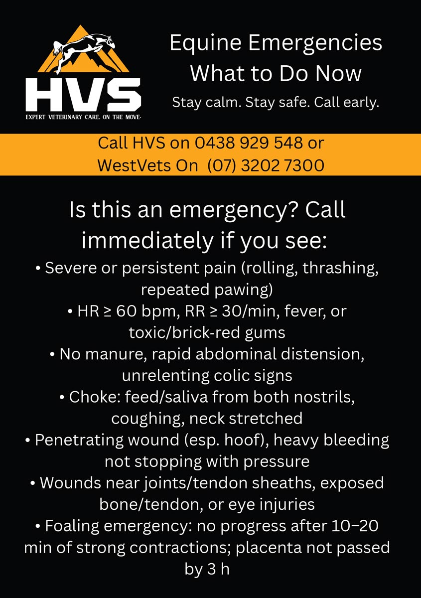 Hillside Vets Emergency details